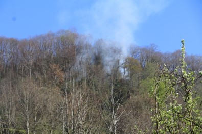 Rize'de Ormanlık Alanda Yangın