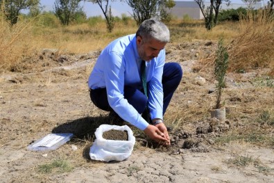 Üniversiteden Ağaç Yetiştirebilmek İçin 'Acil Toprak Aranıyor' Kampanyası