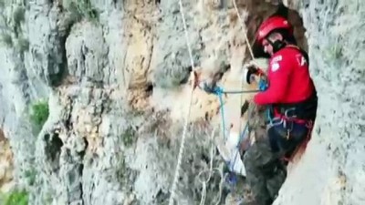 Yamaçta Keçi Kurtarma Operasyonu