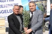 Yunusemre'de Fidan Dağıtımları Tamamlandı