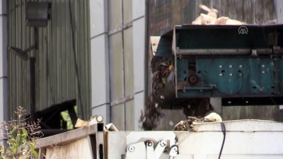 Ordu'da Çöpte Bebek Cesedi Bulundu