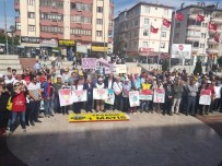KAMU EMEKÇILERI SENDIKALARı KONFEDERASYONU - Sendikalar 1 Mayısı Safranbolu'da Kutladı