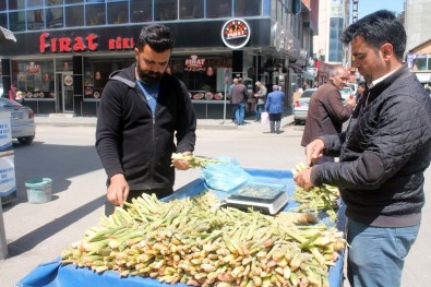 Şifa Kaynağı Işkın Tezgahlardaki Yerini Aldı