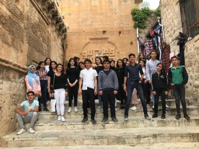Cizre'de Lise Öğrencilerine Yönelik Meslek Tanıtımı Gezisi Düzenlendi
