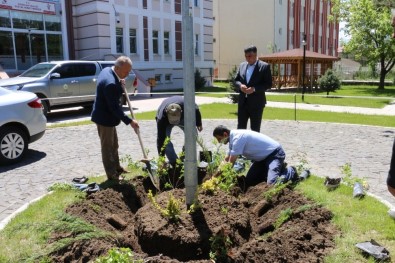 Erzincan'da Ağaçlandırma Çalışmaları Devam Ediyor