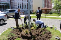 TAFLAN - Erzincan'da Ağaçlandırma Çalışmaları Devam Ediyor