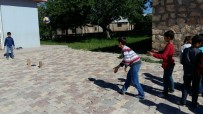 UZUNPıNAR - Köy Okulu Öğrencilerinin Yeni Spor Dalı Birincilik Getirdi