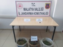 Malatya'da Uyuşturucu Operasyonu Açıklaması 1 Tutuklama