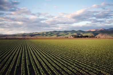 Tarım İlacı Kullanımı Yüzde 29 Arttı, Karekod Sistemiyle Bakanlık Tarafından Kontrol Altına Alınacak