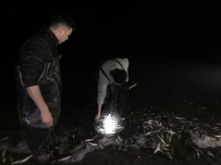 VAN YÜZÜNCÜ YıL ÜNIVERSITESI - Van'da Balık Operasyonu