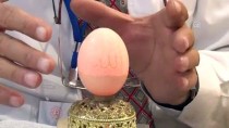 YÜRÜME ENGELLİ - Yumurta Kabuklarını Sanat Eserine Dönüştürüyor
