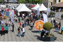 ENGELLİLER HAFTASI - Engelsiz Şenlik