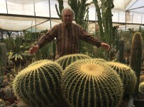 İRANLıLAR - Milyonlar Verilse De Kendisiyle Yaşıt Kaktüslerini Satmadı