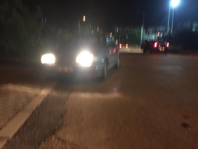 Sakarya'da Otomobil Domuz Sürüsüne Daldı