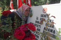 ŞEHİT ANNESİ - Şehit Annesi Açıklaması 'O Bana Gelecekti Ben Ona Geldim'