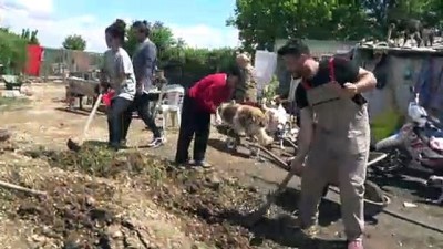 Üniversitesi Öğrencileri Sokak Hayvanlarını Unutmadı
