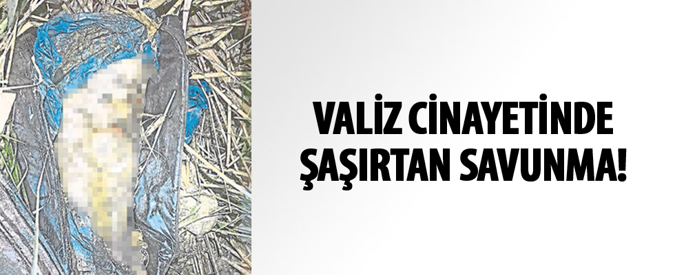 Valiz cinayetinde savunma şaşırttı: Araştırınca öğrendim...