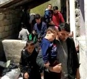 KİMLİK TESPİTİ - Van'da 219 Kaçak Göçmen Yakalandı