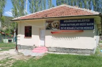 SOSYAL SORUMLULUK PROJESİ - Akdağmadeni'nde Sokak Hayvanlarına Bakım Evi Açıldı
