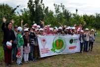 Aydın'da Öğrenciler Tarım Kampı'na Katıldı