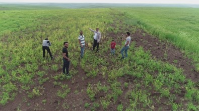 Çiftçiyi Kuraklık Değil Aşırı Yağışlar Vurdu