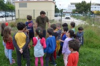 Fidanlar Anaokullarında Yeşeriyor