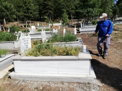 Mezarlıklarda Bayram Temizliği Ve İlaçlama Çalışmaları