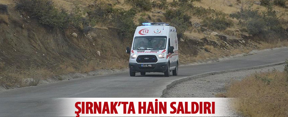 Şırnak'ta güvenlik korucularına saldırı: 3 yaralı