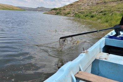 Yamula Barajı'ndan Sahipsiz 2 Bin 600 Metre Misina Ağ Toplandı