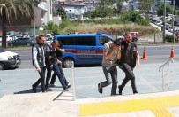 DINEK - Alanya'da Uyuşturucu Operasyonunda 1 Tutuklama