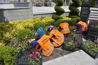 BALCı - Altındağ Çiçek Açtı