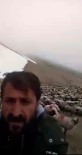 Çobanın Yayla Yolu Tepkisi