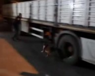 Dedektör Köpek 9,5 Kilo Metamfetamin Buldu