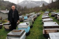 DOĞAL AFET - Giresun Arıcılar Birliği Başkanı Elevli, Gezgin Arıcıları Uyardı