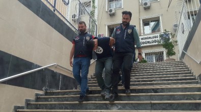 İstanbul'da 5 İlçede Özel Harekat Destekli Hırsızlık Operasyonu Açıklaması 12 Gözaltı