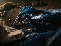 ÇELEBIBAĞı - Jandarma Ekipleri Balık Nöbetinde