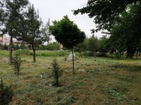 İMAM HATİP - Mezarlıkların Otları Temizleniyor