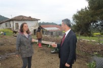 VEZIRHAN - Nişantaşı'nı Bırakıp Bilecik'te Keçileri İle Mutlu Bir Yaşam Sürmeye Başladı