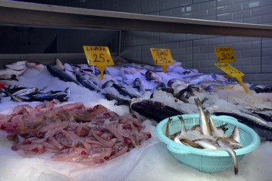 Sinop'ta Ramazan Ayında Balık Fiyatları Düştü
