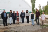 YERLİ TOHUM - Tosya'da Kadın Çiftçi Eğitimi Düzenlendi