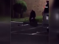 ŞOK TABANCASI - ABD'de Polis Hamile Kadını Öldürdü