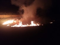 KOZALAK - Orman Deposu Yangınında Kozalaklar Zarar Gördü