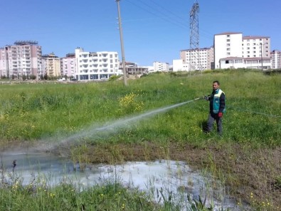 Yağışların Gölete Çevirdiği Arazilerde İlaçlama