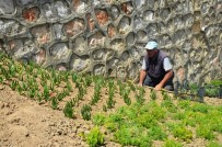 YUNUSEMRE - Yunusemre'de Park Ve Bahçeler Yaza Hazırlanıyor