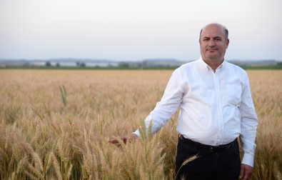 İncefikir Açıklaması 'Buğday Ekim Alanı Arttırılmalı'