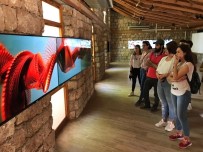DOĞAL BESİN - Kampüste 'Dijital Sanat' Etkinliği