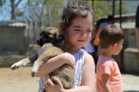 YAVRU KÖPEKLER - Minikler Yavru Köpeği Paylaşamadı