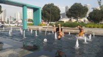 HAVA SICAKLIKLARI - (Özel) Süs Havuzlarında Tehlikeli Eğlence