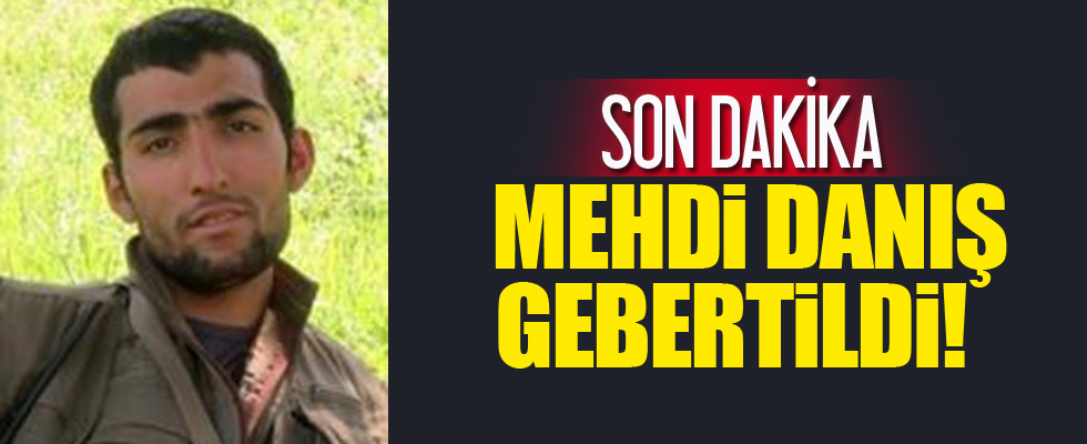 PKK'nın takım sorumlusu etkisiz hale getirildi