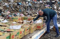 HABUR SıNıR KAPıSı - Silopi'de 994 Kilogram Kaçak Muz İmha Edildi